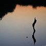 LA RIFLESSIONE DELLA SAGOMA